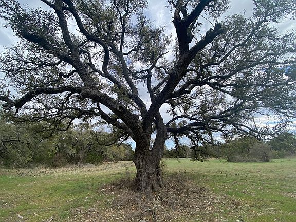 Land For Sale Near Austin, TX in Williamson County | Liberty Hill ISD