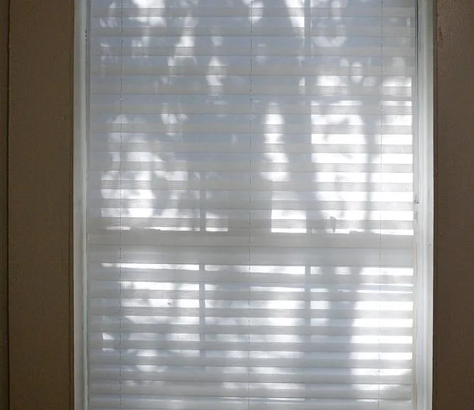 New blinds throughout