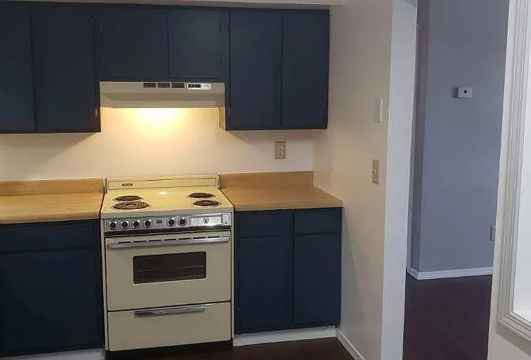 1217 W Chestnut St — Photo 3