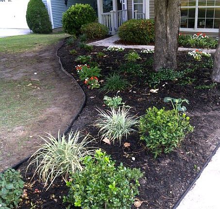 Front yard