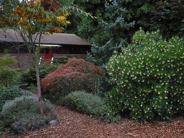 2nd image of 9515 48th Ave NE