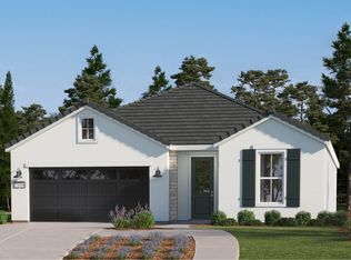 Papyrus Plan, Tesoro Viejo : Calligraphy Series, Madera, CA 93636