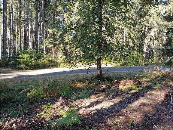 3rd image of 11015 Madrona Dr