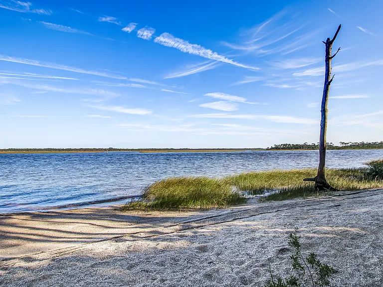 Settlers Landing Dr — Photo 71