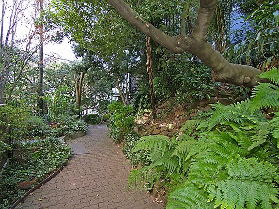 3rd image of 19 Macondray Ln #A