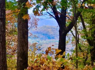 43.91 Old Burnt Mountain Rd, Ellijay, GA 30536