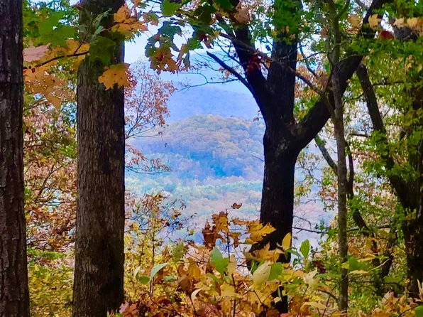 43.91 Old Burnt Mountain Rd, Ellijay, GA 30536