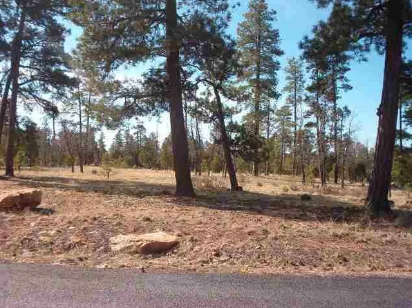 4282 Juniper Dr, Happy Jack, AZ 86024