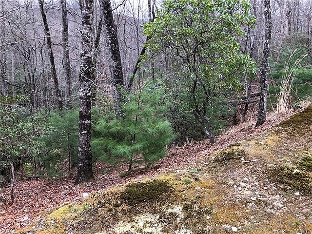 1st image of 285 Shining Rock Path