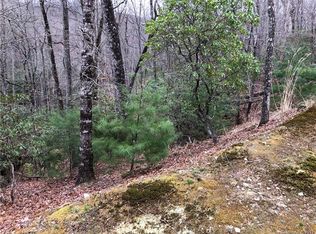 285 Shining Rock Path #5R, Horse Shoe, NC 28742