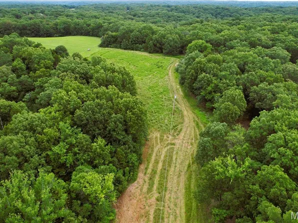 24285 Low Gap Rd, Warrenton, MO 63383