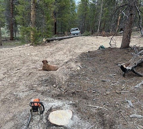 4th image of 123 Lodgepole Drive
