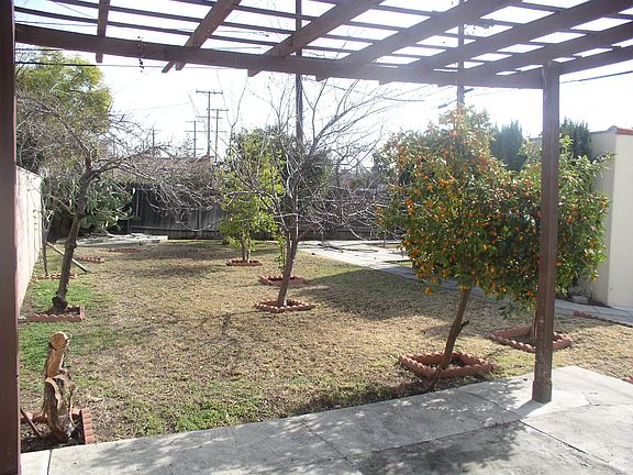 Patio and Back yard
