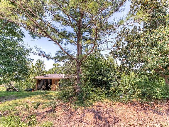 5th image of 1411 Caribe Ln