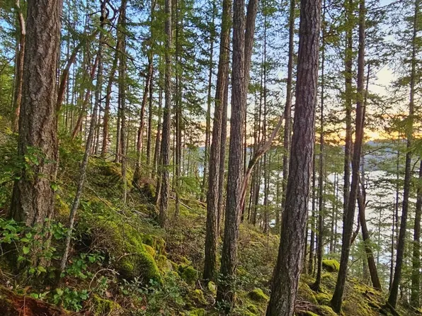 LOT 108 Seaview Rd, Sechelt, BC V0N 3A4