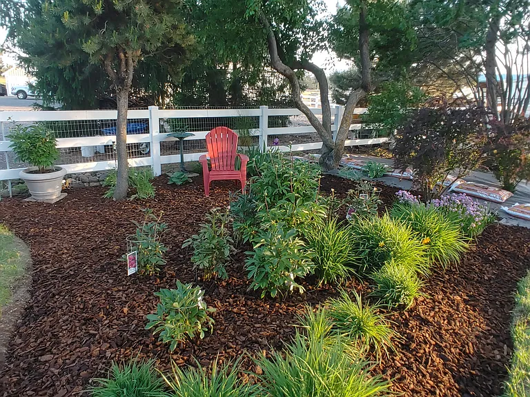 Perennial Garden