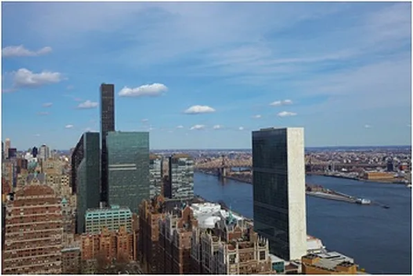 Sold by Nest Seekers International | media 7