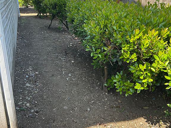 Back patio