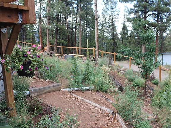 Fenced-in garden by house