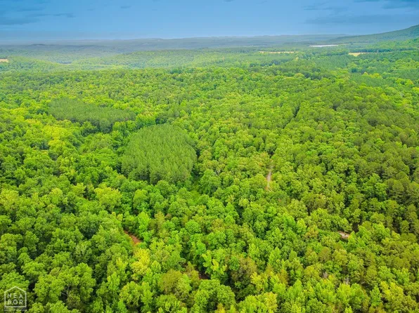 95 Mol Acres Cove Rd, Mountain View, AR 72560