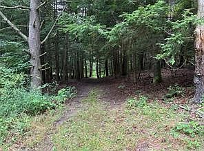 2nd image of 10053 Browntown Rd Lot 10