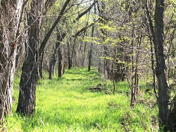 2nd image of 678 S Fm 1655
