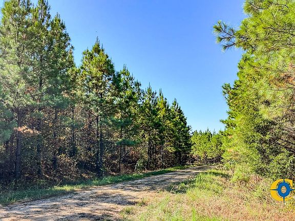 4th image of Hurricane Creek Rd