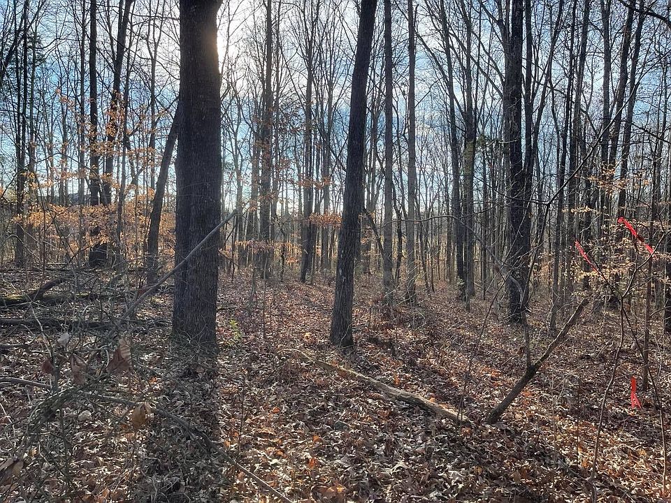 2nd image of 0 Old Franklin Rd