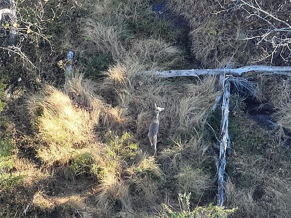 3rd image of 1260 Road