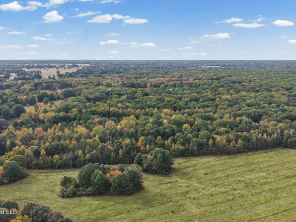 10177 Parks Place Rd, Como, MS 38619