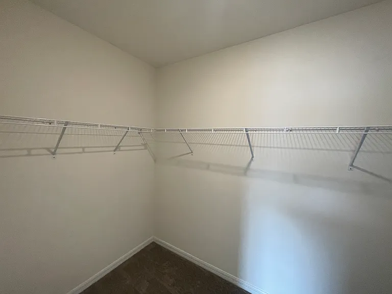 33367 Apricot Tree Ct — Photo 68