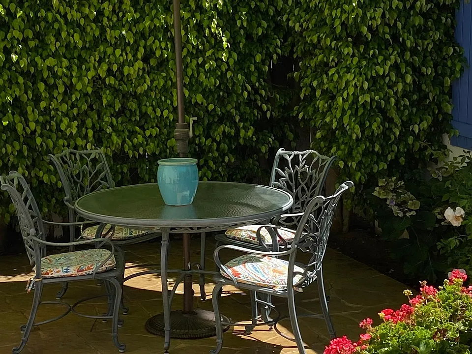 Common Area Garden