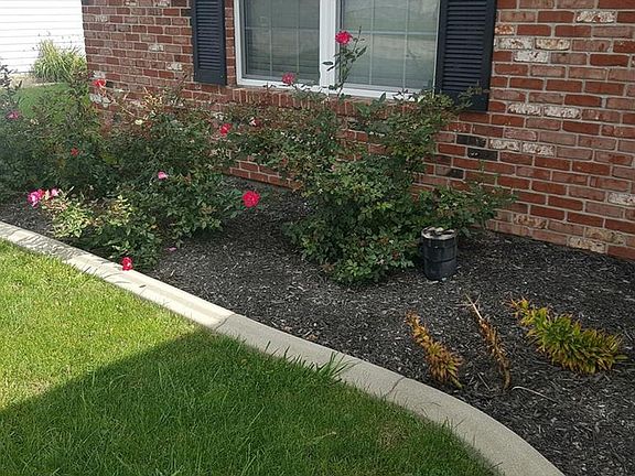 3rd image of 1310 Lynnwood Dr
