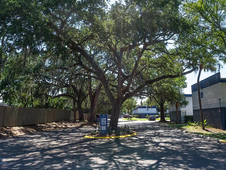 Montierra Apartments — Photo 10