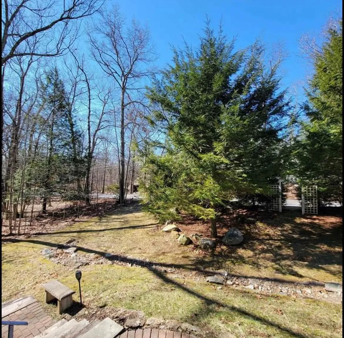 3 bed, 1400 sqft, $2,500 — Photo 3