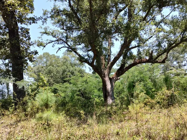 No Barth Rd, Poplarville, MS 39470