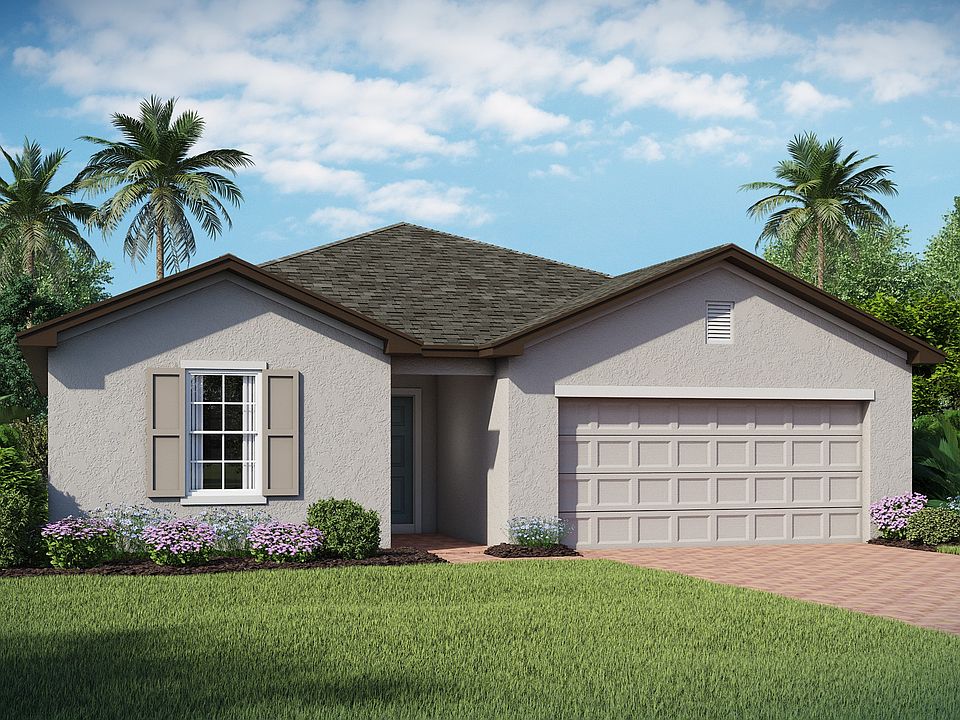 Palmera B