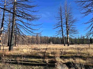 10069 Dixie Valley Rd, Chilcoot, CA 96105