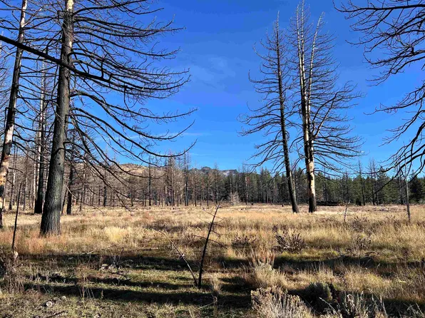 10069 Dixie Valley Rd, Chilcoot, CA 96105