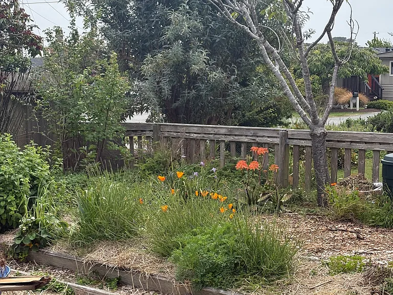 This is a view of the south side of the gate, the fence and garden beds are beginning to fall apart and will need to be replaced.