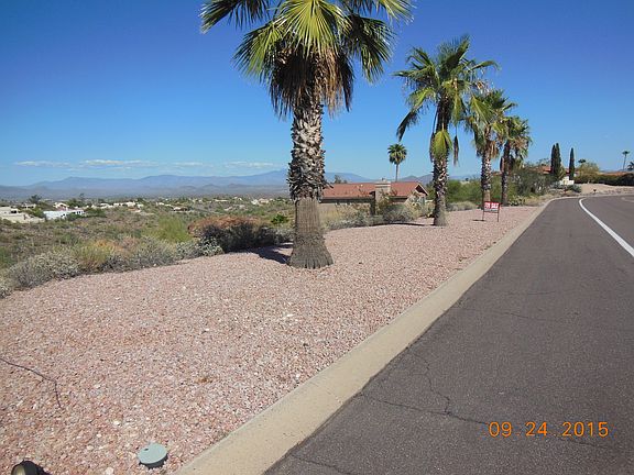 Palm Trees on Lot