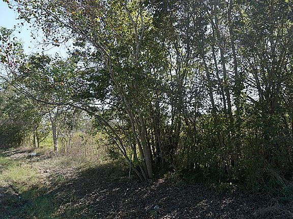5th image of 3634 Nita St