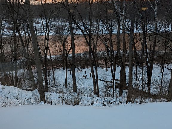Backyard Sunset