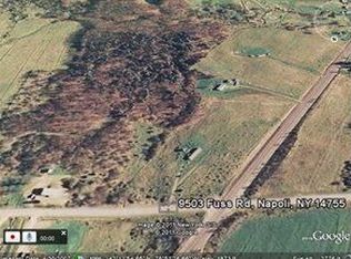 9503 Fuss Rd, Little Valley, NY 14755