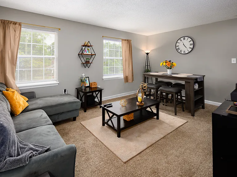 Lanier Terrace Apartments — Photo 7