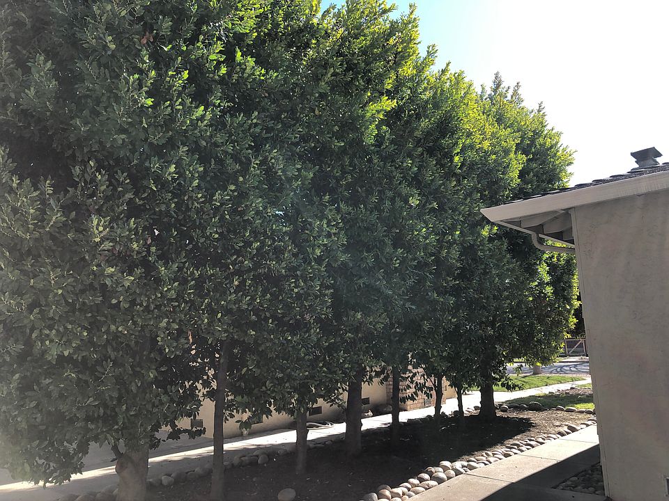 2nd image of 2975 Walgrove Way APT 4