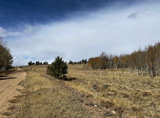 730 Superstition Trl, Hartsel, CO 80449