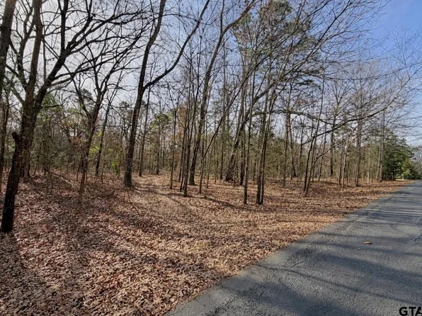 130 & 131 Canadian Dr, Scroggins, TX 75480