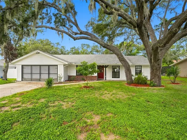 1139 DESMOND AVENUE, SPRING HILL, FL 34608