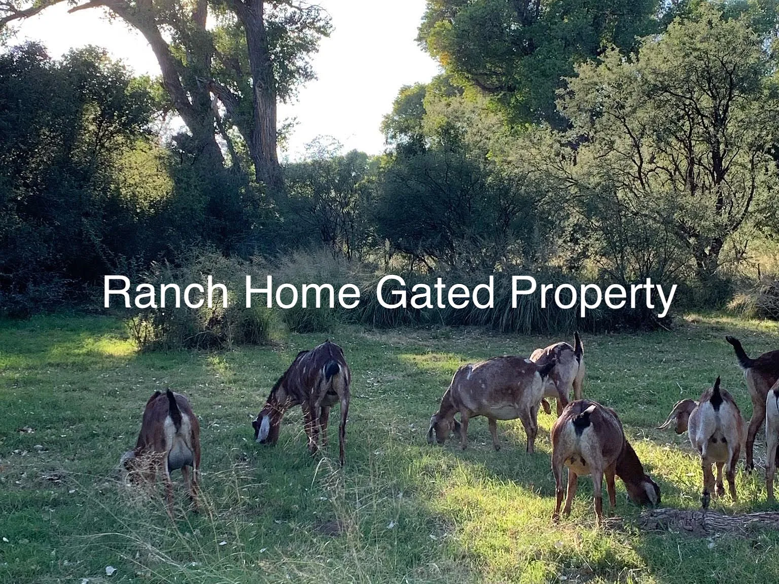 2134 N Calle En Cielo — Photo 4